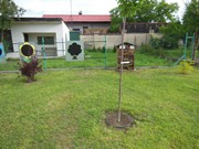 Zahrádka ve školce